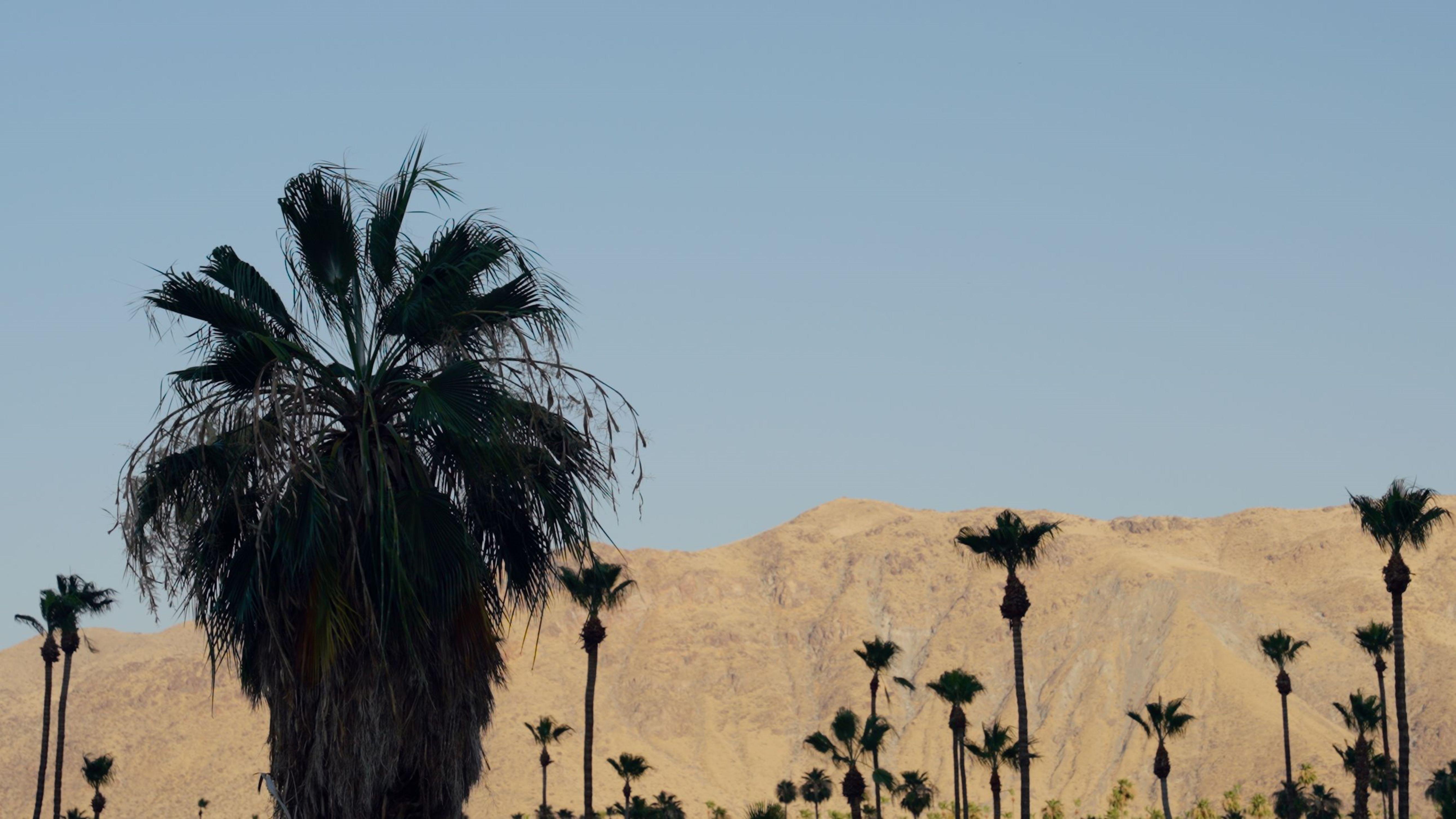 Royal Sun Palm Springs Hotel Bagian luar foto