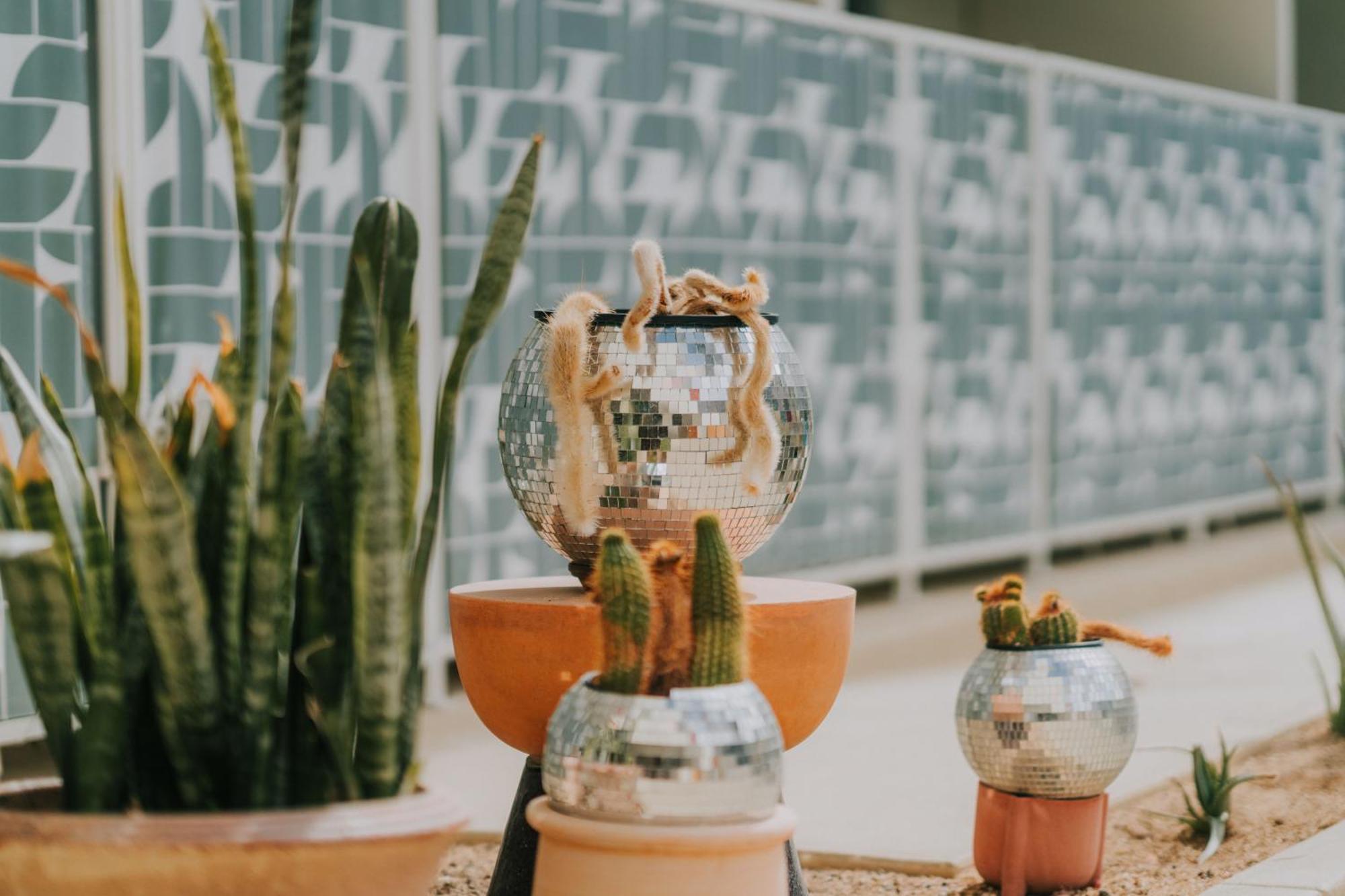 Royal Sun Palm Springs Hotel Bagian luar foto