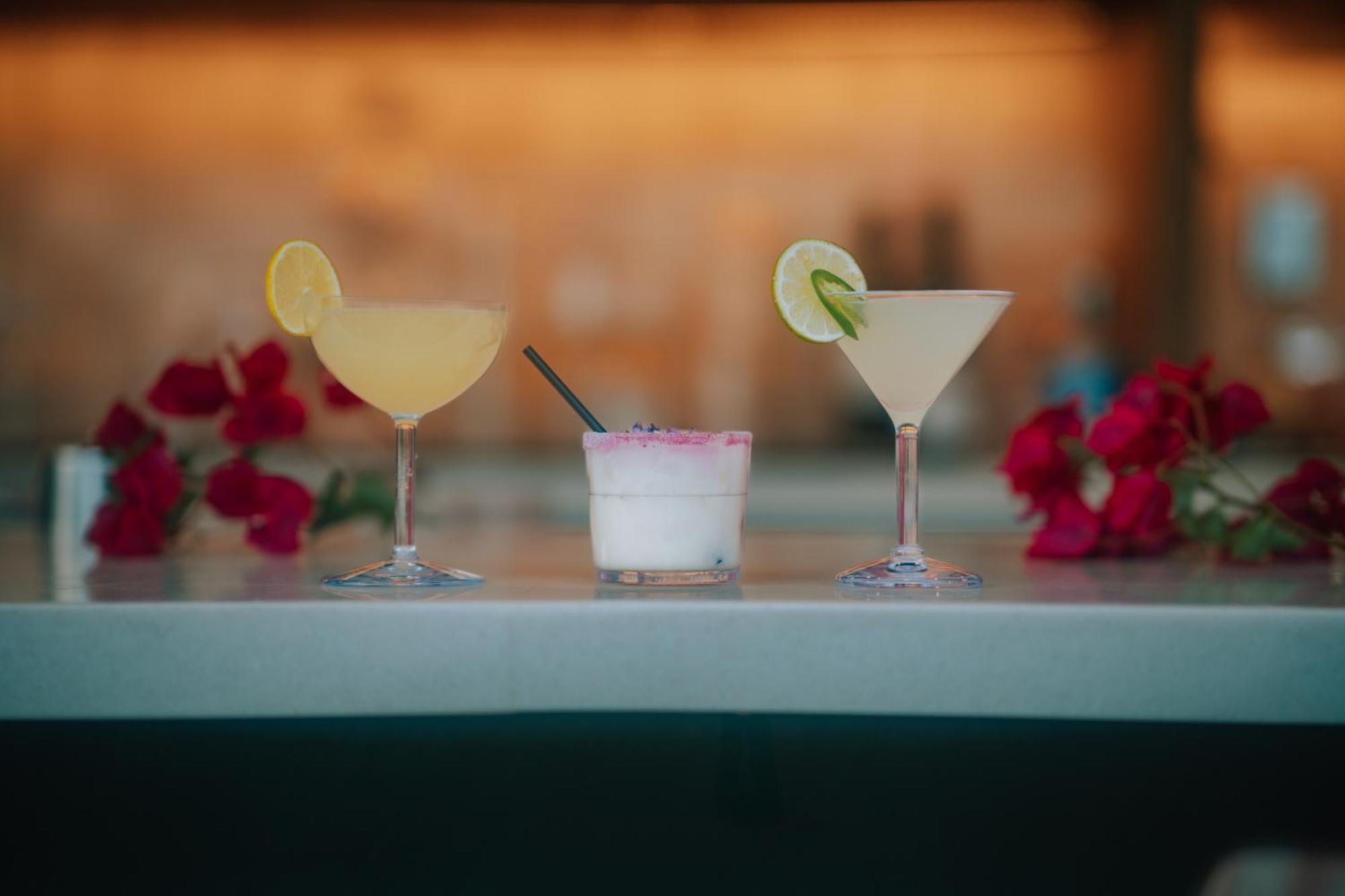 Royal Sun Palm Springs Hotel Bagian luar foto